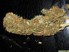 Plant Bag