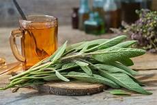 Plant Oils