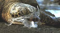 Plastic Bags