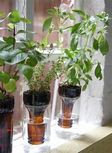 Plastic Jars