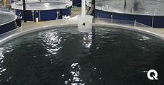 Plastic Processing Service