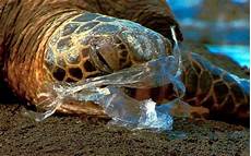 Plastic