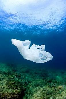 Plastic