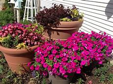 Potted Flowers