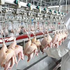 Poultry Processing Machinery
