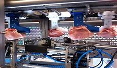 Poultry Processing Machinery