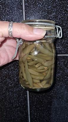 Preserved Beans
