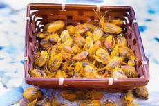 Preserved Kernels