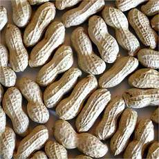 Preserved Kernels