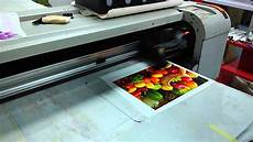Printing Oil & Inks
