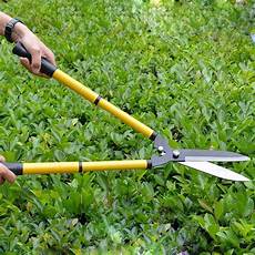 Pruning Tools