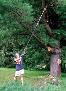 Pruning Tools