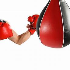 Punching Balls & Speed Balls