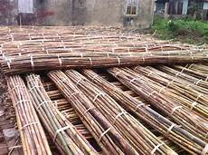 Rattan & Wicker Furniture