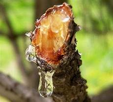Resin