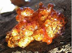 Resins