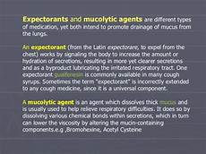 Respiratory System Agents