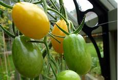 Ripening