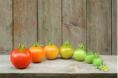 Ripening