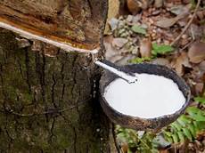 Rubber Raw Materials