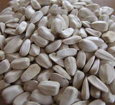 Safflower Seeds