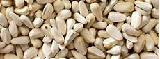 Safflower Seeds