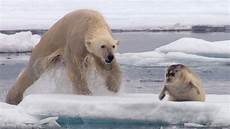 Seals