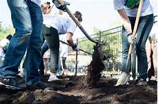 Service Projects