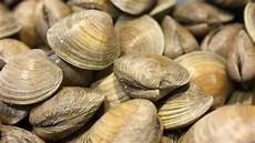 Shellfish