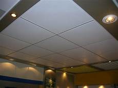 Suspended Ceiling Panel
