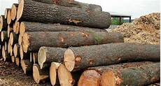 Timber & Boards