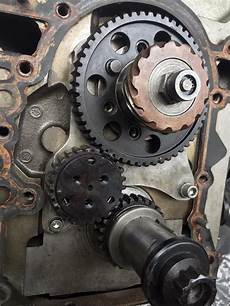 Timing Drive Gear
