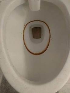 Toilet Cleaner