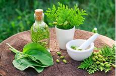 Traditional Herbal Medicines