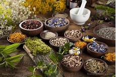 Traditional Herbal Medicines