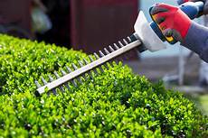 Trimming