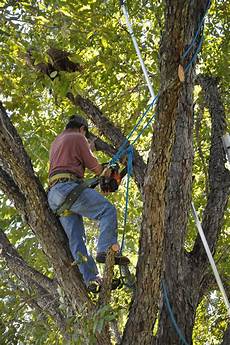 Trimming
