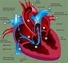 Valve Quide