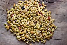 Vigna Beans