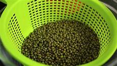 Vigna Beans