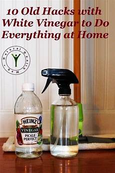 Vinegar