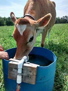 Waterer