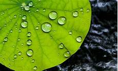 Waterproofing Materials