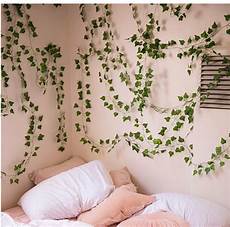 Window Accesory