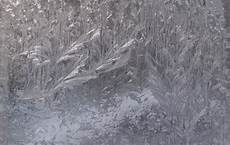 Window Glass