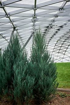 Winter Garden Glass Ceiling