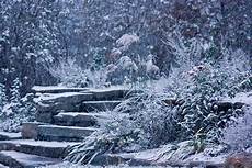 Winter Garden