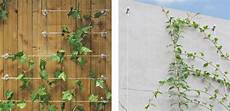 Wires For Garden