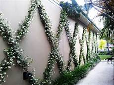 Wires For Gardens