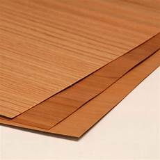 Wood Veneer Steel Doors